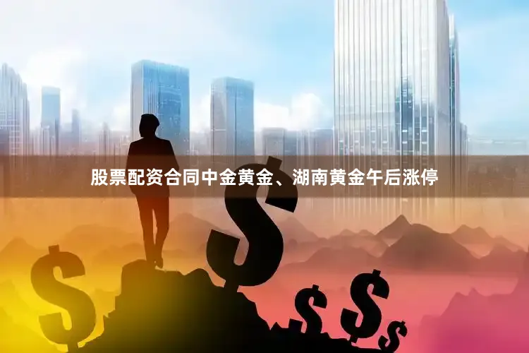 股票配资合同中金黄金、湖南黄金午后涨停