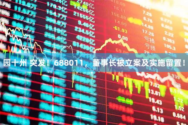 园十州 突发！688011，董事长被立案及实施留置！