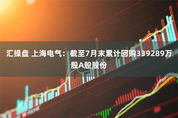 汇操盘 上海电气:截至7月末累计回购339289万股A股股份