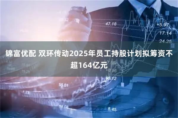 锦富优配 双环传动2025年员工持股计划拟筹资不超164亿元