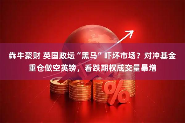 犇牛聚财 英国政坛“黑马”吓坏市场？对冲基金重仓做空英镑，看跌期权成交量暴增